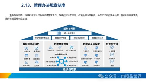 XX集團(tuán)數(shù)據(jù)治理體系建設(shè)方案 數(shù)據(jù)處理服務(wù)的戰(zhàn)略實施路徑